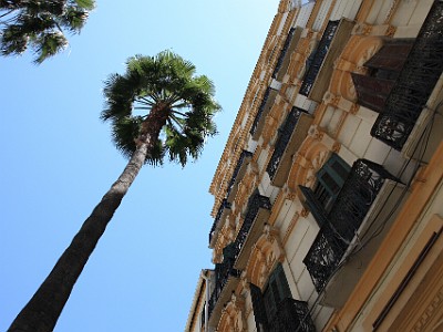 IMG 0348