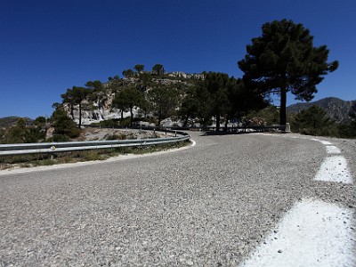 IMG 0497