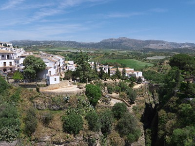 P000115
