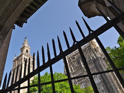 P000343