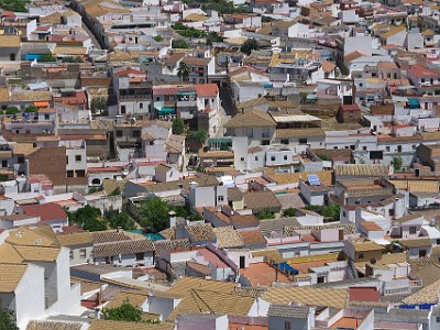 P000388