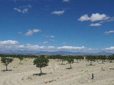 P000214