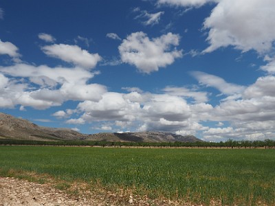 P000216