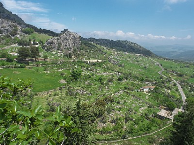 P000195