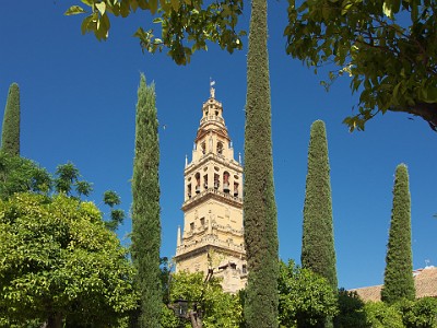 P000167