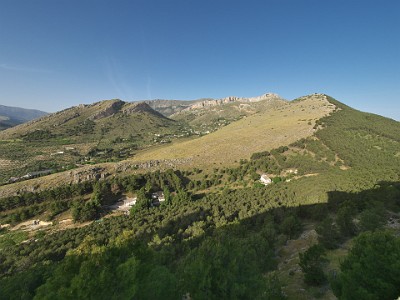 P000236