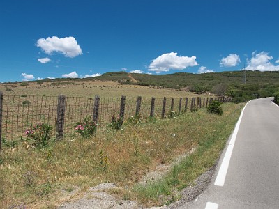 P000063
