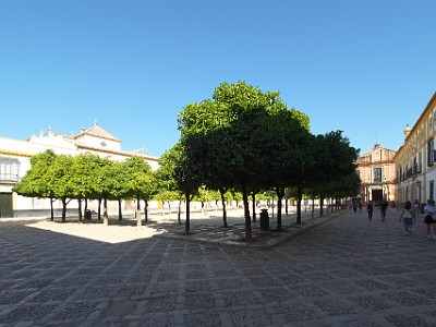 P5050483