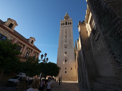 P5070606