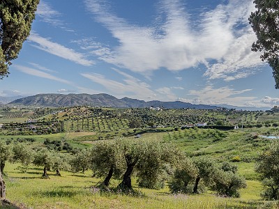P00035