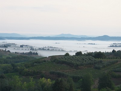 P000163