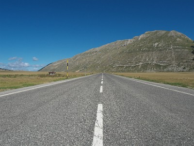 P000216