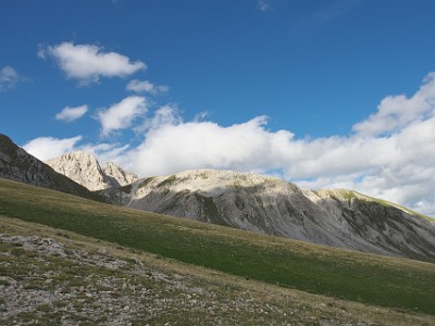 P000236