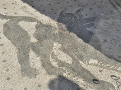 P000331