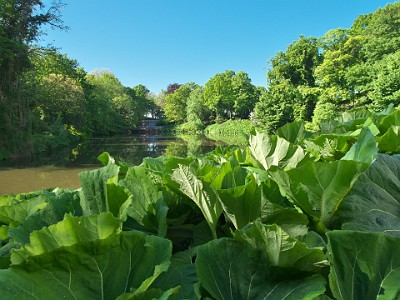 P000108