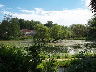 P000210