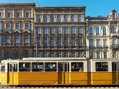 P000142