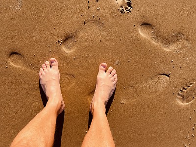 P000088