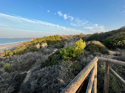 P000217