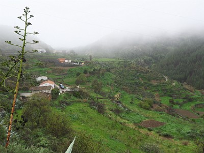 P000254