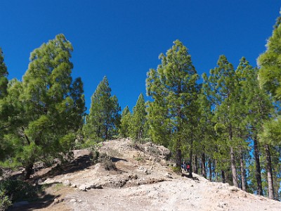 P000325