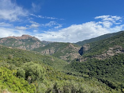 P000226