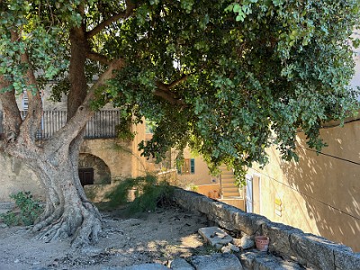 P000355