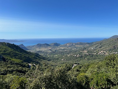 P000388