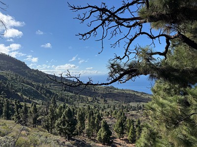 P00053
