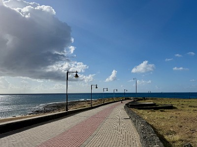P00104