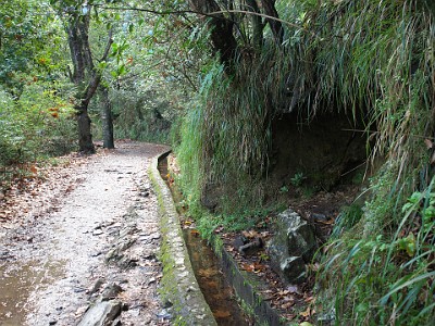 Image00075