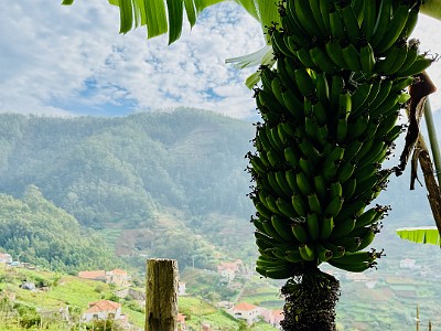 Image00314
