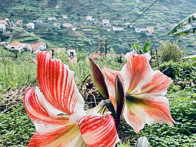 Image00315