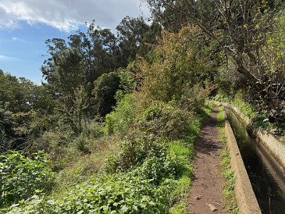 P00156