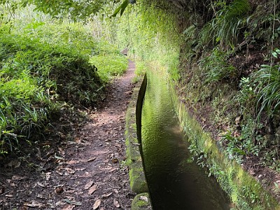 P00169