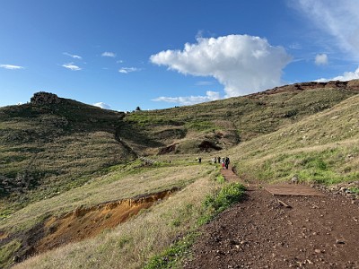 P00206