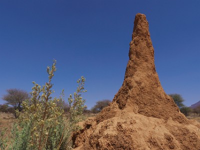 P000104
