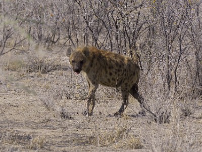 P000162