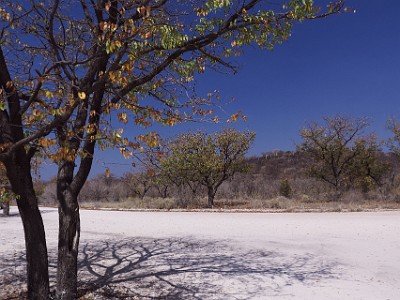 P000242