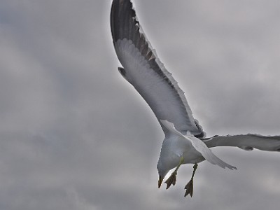 P000432