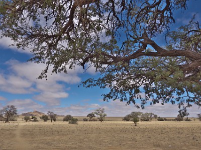 P000470