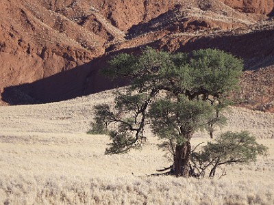 P000516