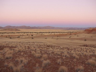 P000528