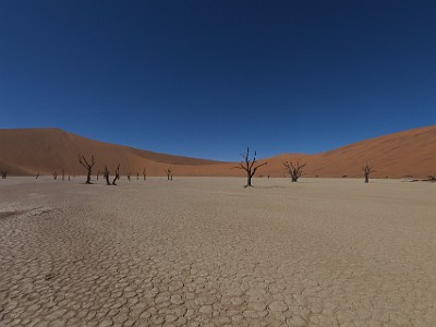 P000563