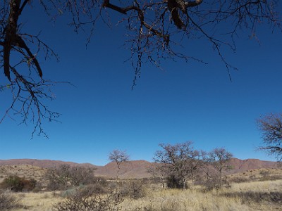 P000601
