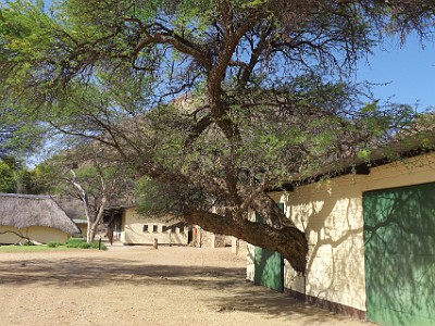 P000982
