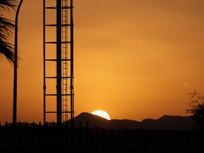 P000993