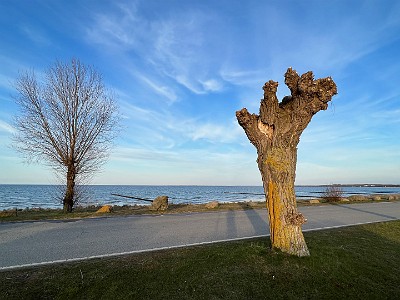 P000106
