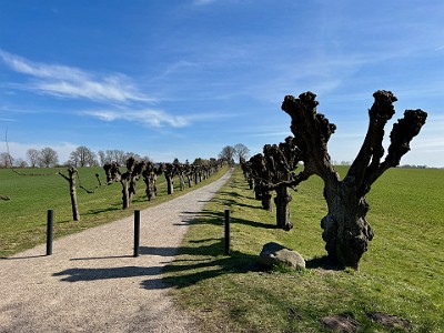 P000137