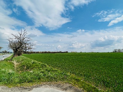 P000181